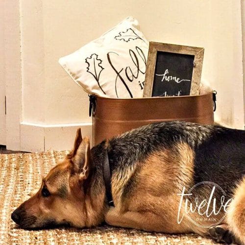 DIY Fall Pillows With Sharpie Paint Pens