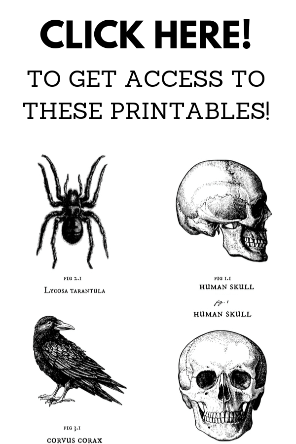 Halloween skull and raven printables