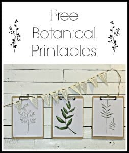 Free Watercolor Botanical Printables- Free Printable Friday - Twelve On ...