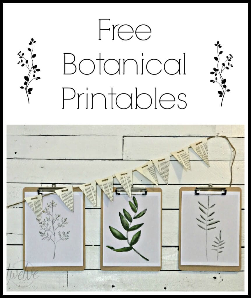 Free Watercolor Botanical Printables- Free Printable Friday - Twelve On ...