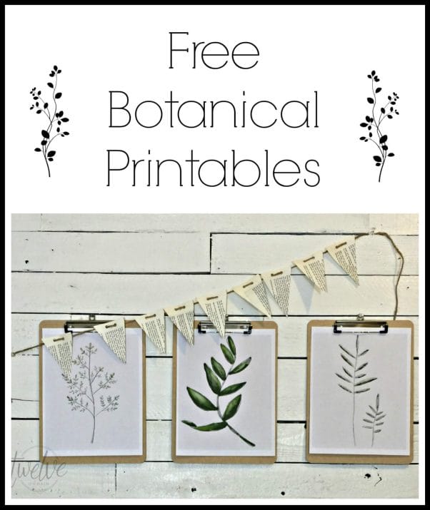 Free Watercolor Botanical Printables | Twelveonmain.com