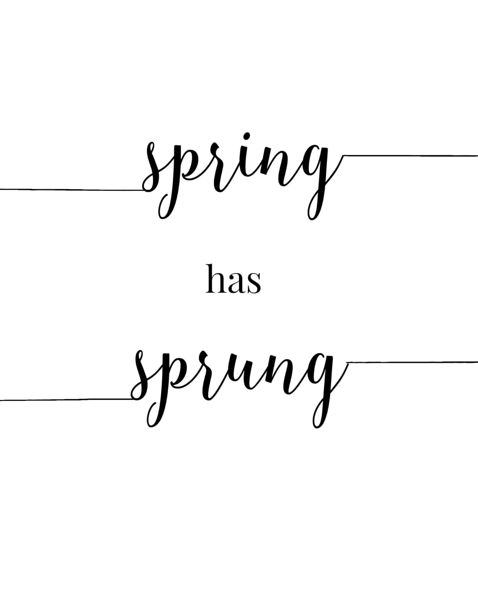 spring has sprung 2