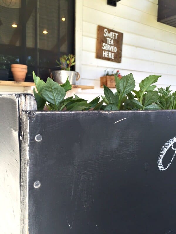 I love to take discarded items and make them my own. This chalkboard planter had a new life! | Twelveonmain.com