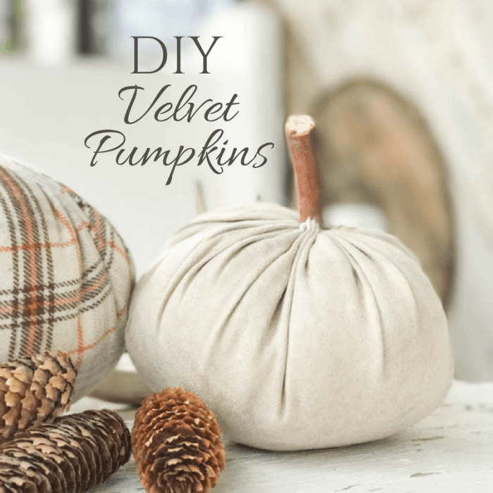 These DIY velvet pumpkins are so easy to make and are customizable! Add them to your fall decor now! 