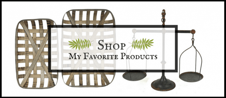 Shop My Favorite Products
