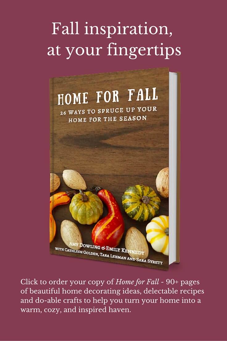 Are you looking for some fall inspiration? This book had 90 plus pages of fall goodness! Must check it out Home For Fall.