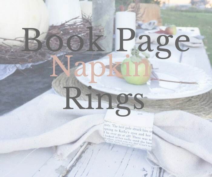 Upcycle napkin sale rings