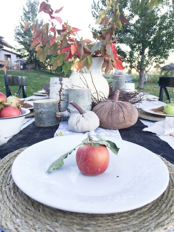 outdoor-fall-tablescape-17