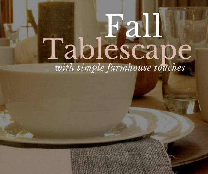 Wow, I love this farmhouse style fall tablescape!