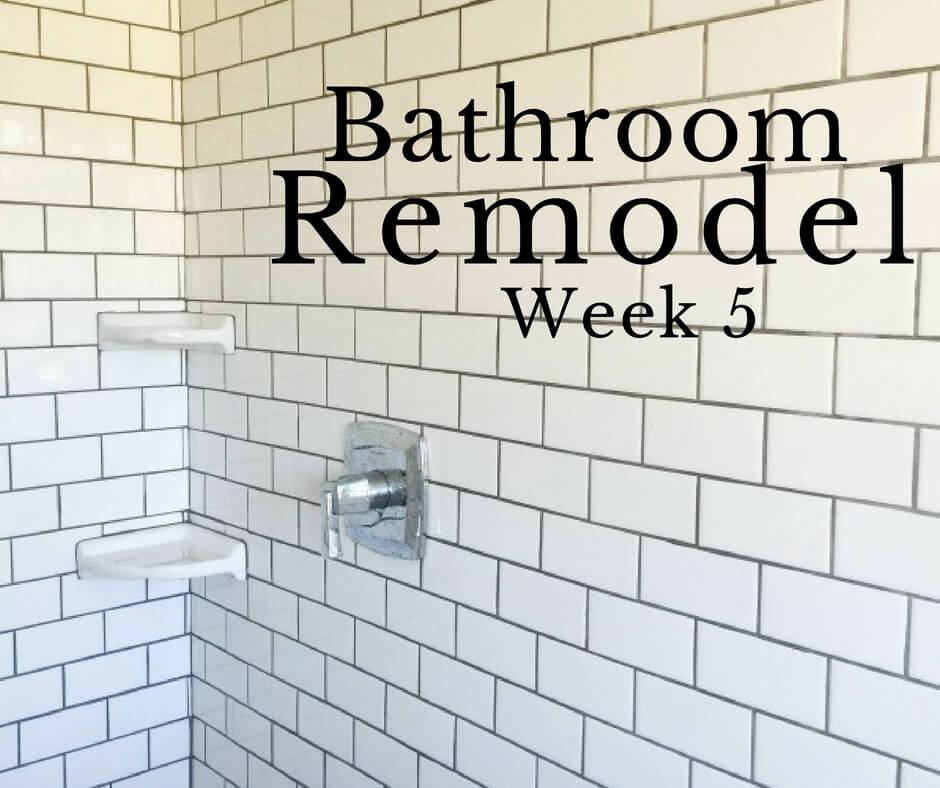 Master Bathroom Remodel Week 5 | The Final Push