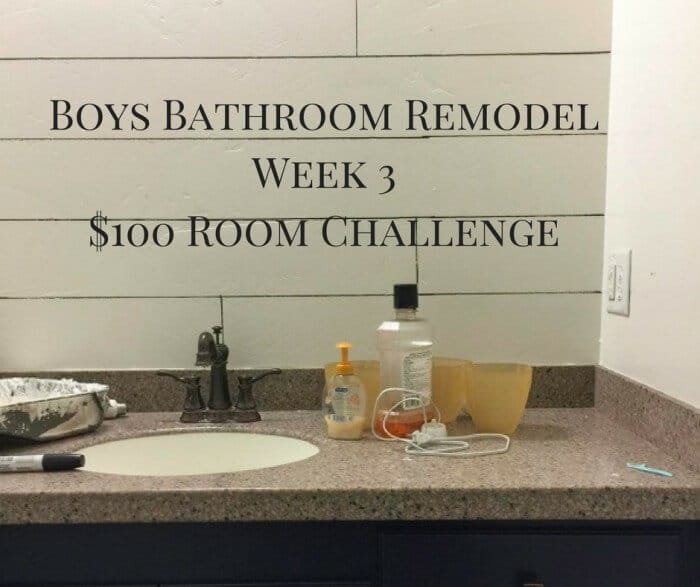 Boys Bathroom Remodel Week 3 | $100 Challenge