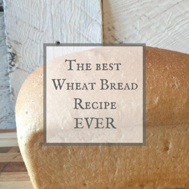 The Easiest Wheat Bread Recipe EVER