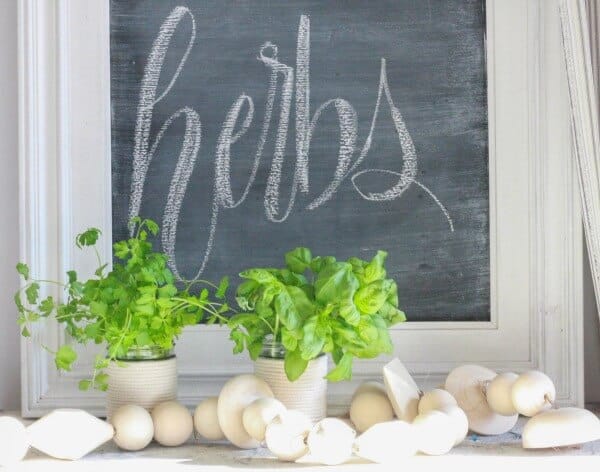DIY mason jar herb planters for the win! This 10 minute DIY project is the perfect project for the weekend!