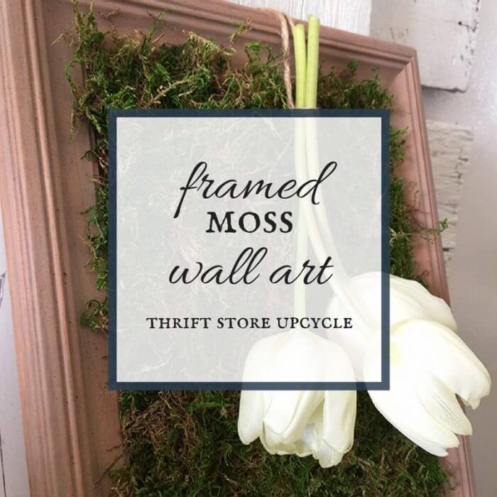 Now a new use for those thrift store picture frames! Check out how easy it is to make this framed moss wall decor! Its a great upcycle!