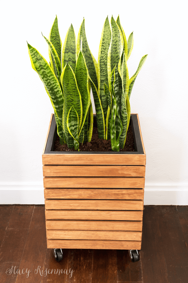 What a cool wood planter! 