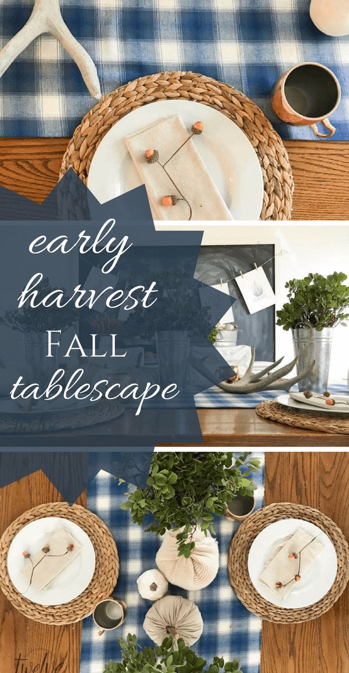 This early harvest tablescape is the perfect transition from summer to fall! Galvanized metal, plaid fabric, and fresh produce! Pus FREE printables! 