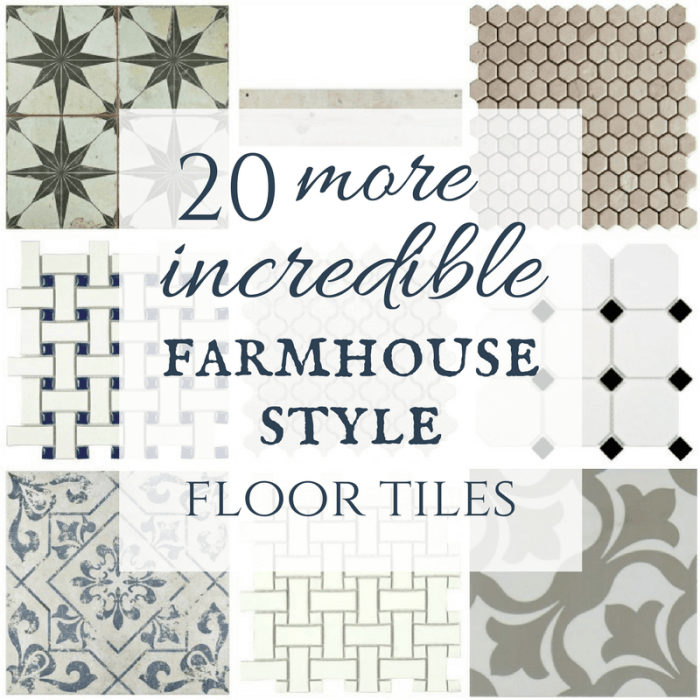 What a great collection of modern farmhouse tiles! I love the painted tiles, and those mosaic tiles are beautiful too! You have to see how they look in her laundry room!
