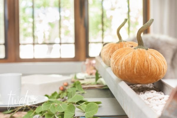 Want to create the perfect farmhouse style fall table? Check out these awesome tips! Books, ticking stripe,and nature inspired elements!