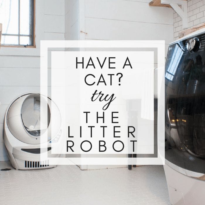 Litter Robot Review | Why It Saved My Sanity