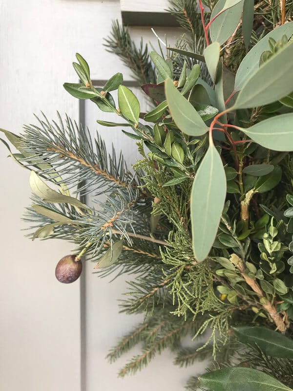 Fresh Christmas wreath with eucalyptus, olive branches, boxwood, and cedar! So easy to make too, check out this tutorial