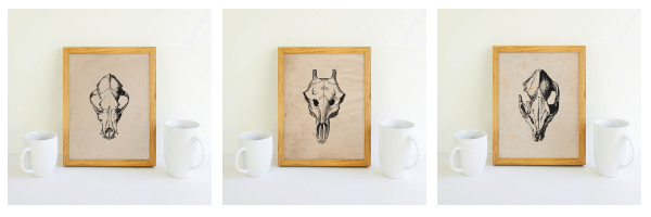 Set of 3 animal skull printables for FREE! Use them in your Halloween decor