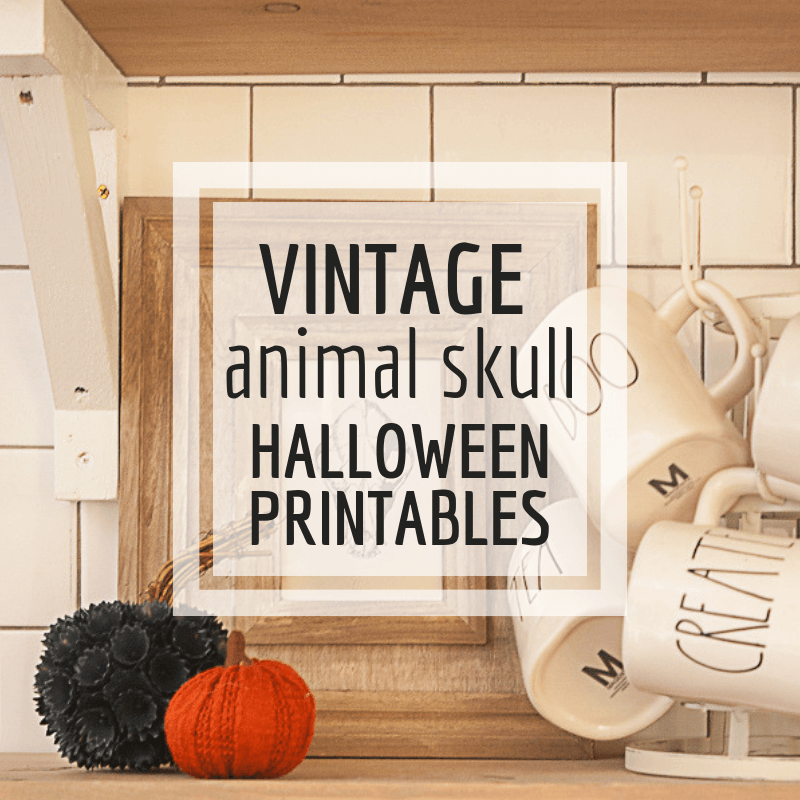 FREE vintage animal skull Halloween printables!