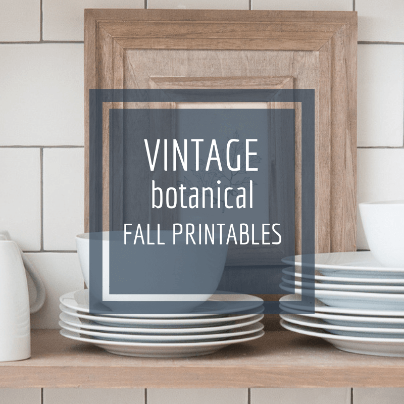Vintage style botanical fall printables for your home!