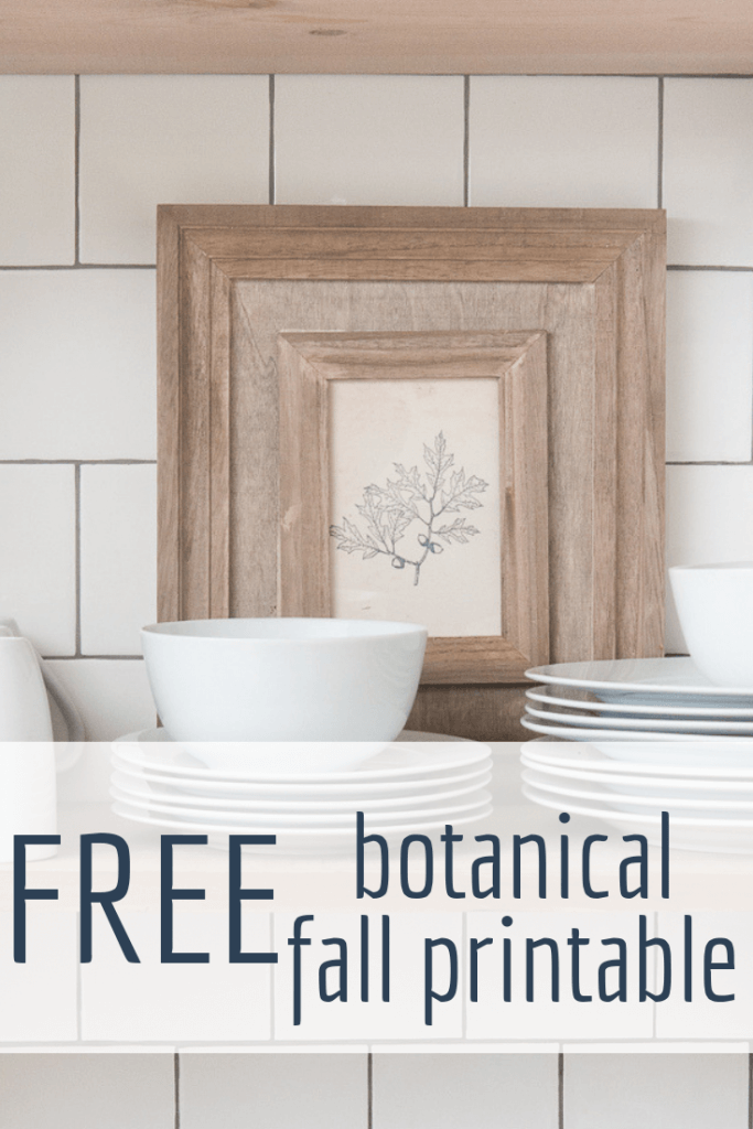 Get this FREE vintage style botanical FREE fall printable! Check out the other 7 in the series as well!