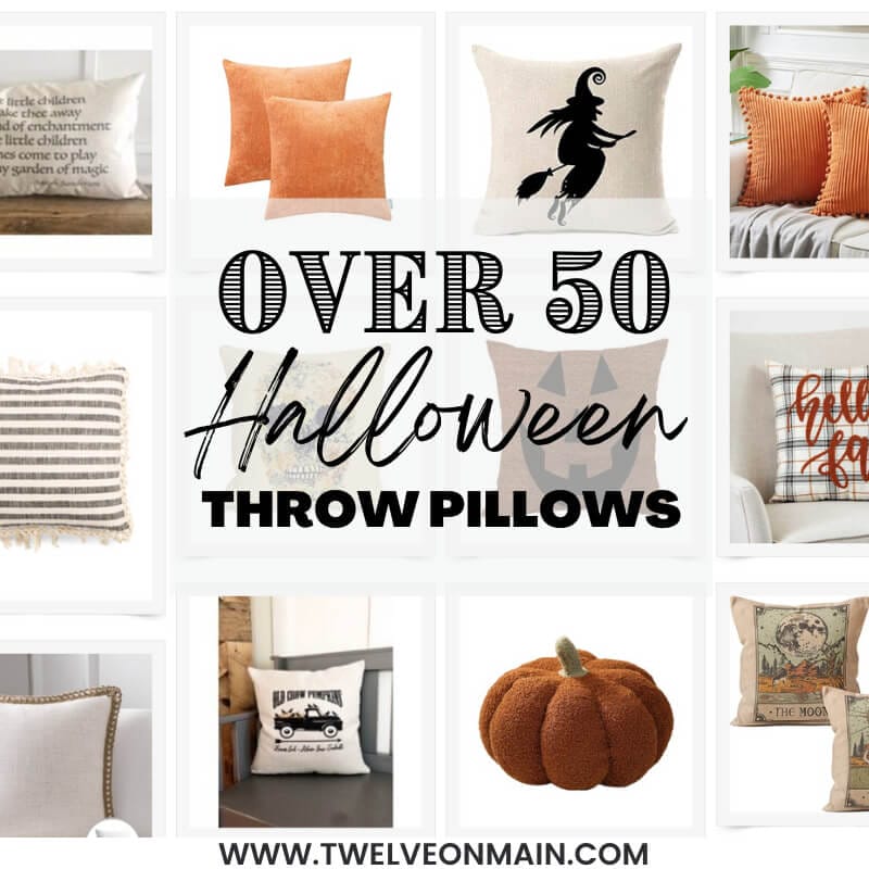 Over 50 Stylish Halloween Throw Pillows You Need Now!