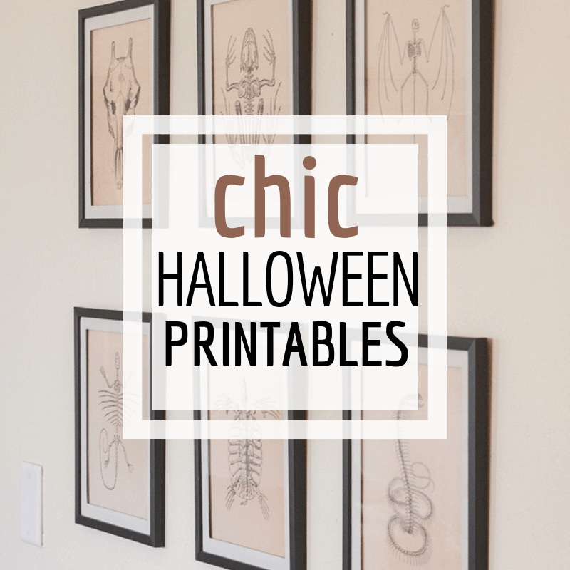 Super Chic and Stylish Halloween Printables!  Get the Whole Set Now!
