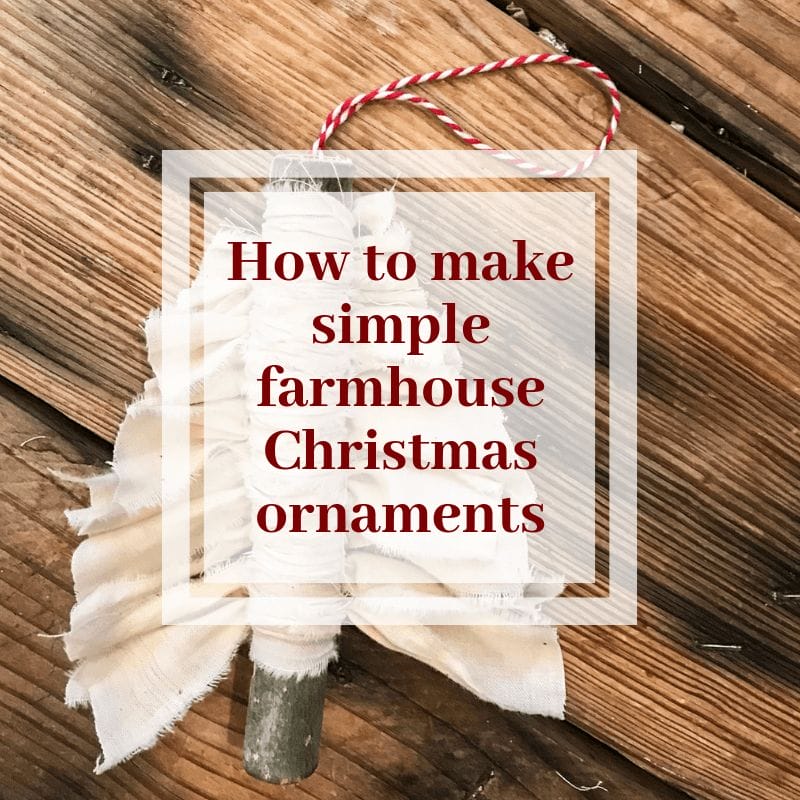 Make Stylish Farmhouse Christmas Ornaments with Only 2 Items!
