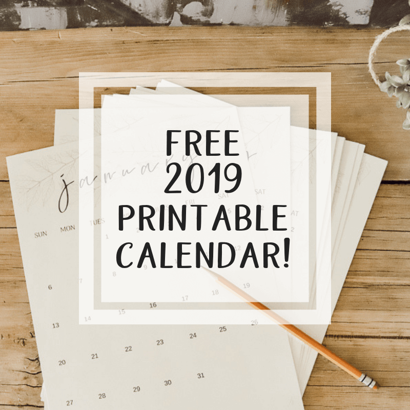 Looking for a Free Printable Monthly Calendar for 2019?