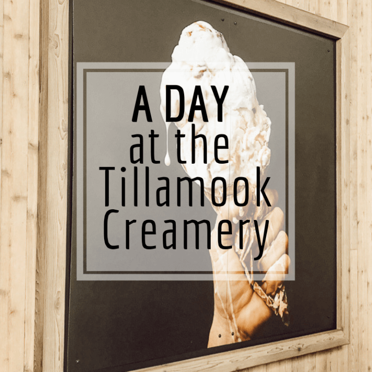 Why You Should Visit the Tillamook Creamery
