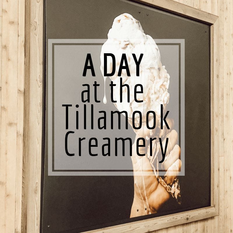 Why I think you should make The Tillamook Creamery a stop on your Oregon Coast trip!