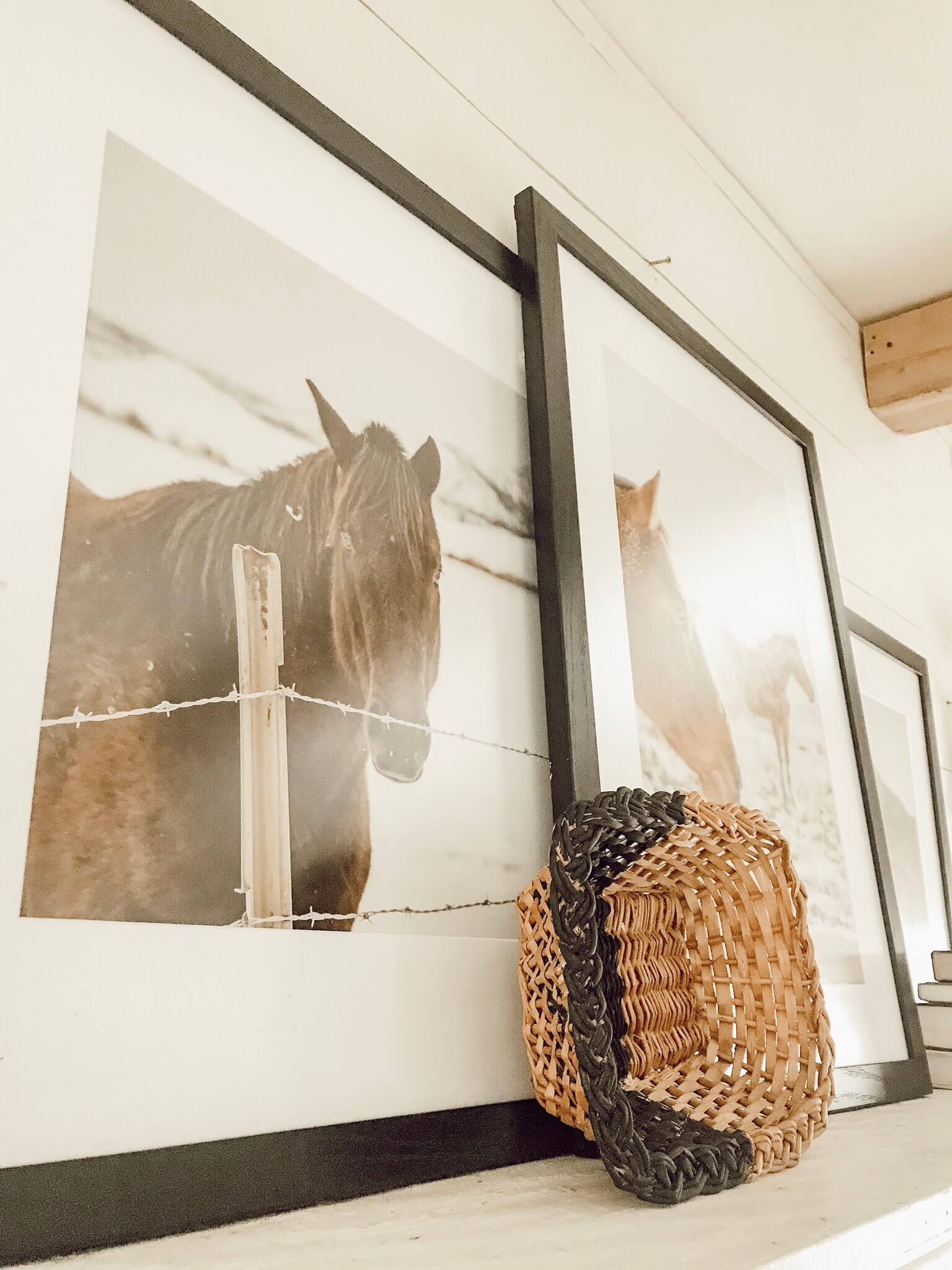 Gorgeous horse photography professionally framed by Frame It Easy