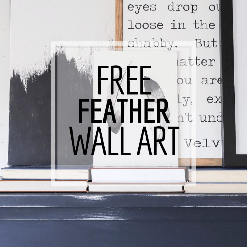 Hand Painted FREE Feather Wall Art Printable