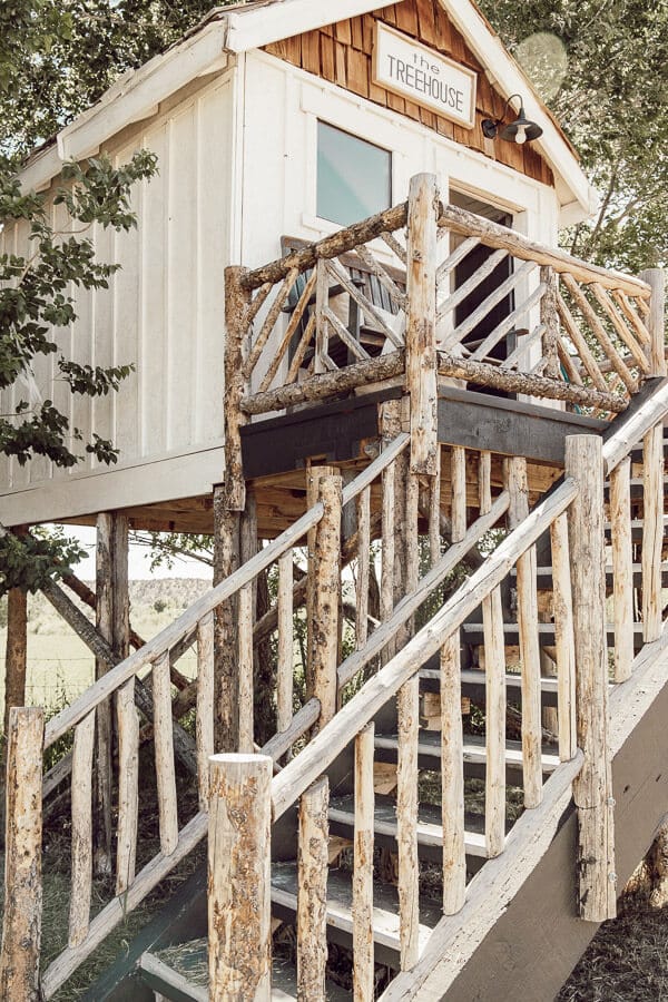Amazing treehouse design!