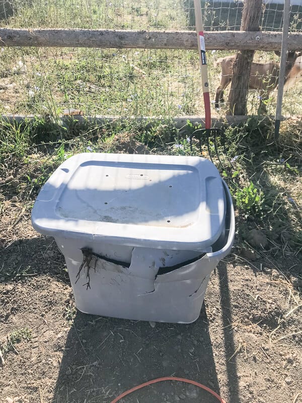 Old janky plastic tub compost bin