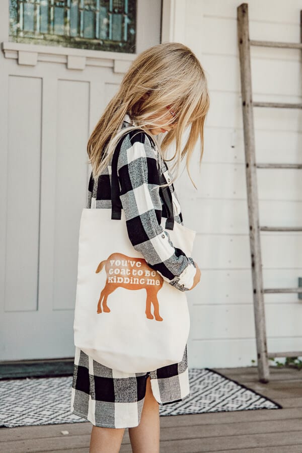 Cricut Infusible Ink & Iron-On Layered Canvas Totes » The Denver