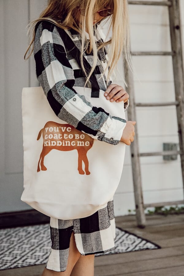 Sarcastic Tote Bags with the Circut EasyPress - The Kim Six Fix