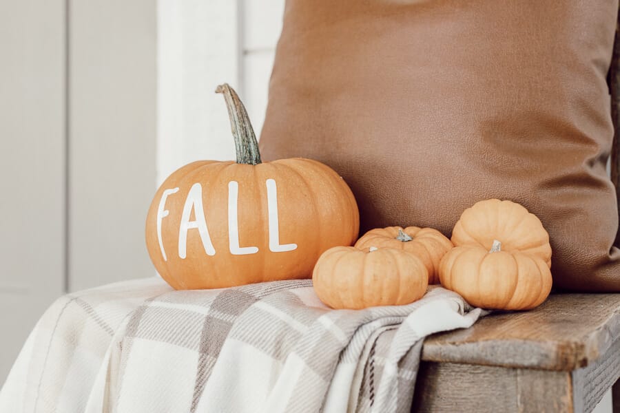Easy to Make Pumpkin Vinyl Decals for Effortless Fall Decor