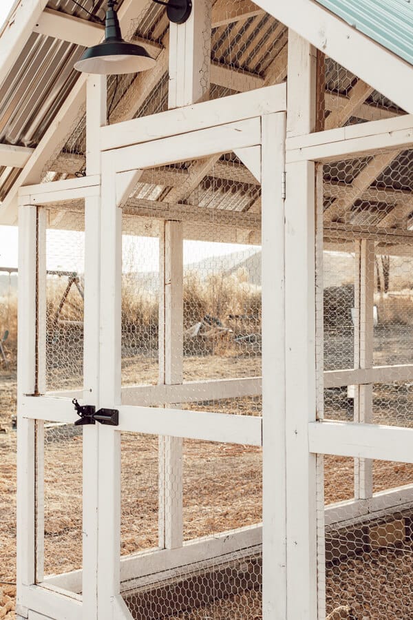 Functional and beautiful chicken coop ideas to help you with you chicken coop DIY project.
