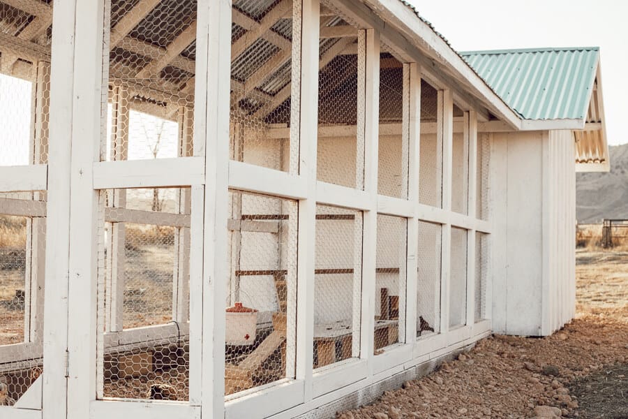 Amazing chicken coop ideas for those looking for something stylish and functional for both your chickens and the humans!