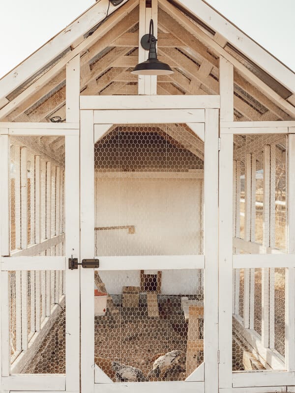 A gorgeous chicken coop design that will have you running to the tractor store to purchase some chickens!