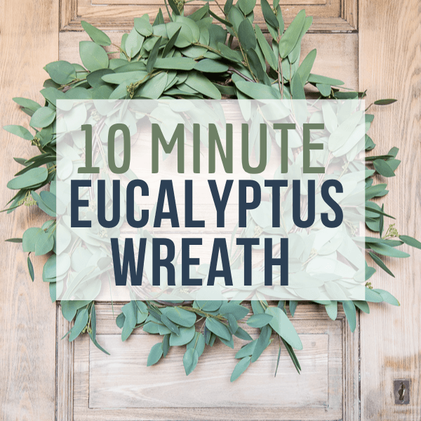 How to Make a Eucalyptus Wreath for Spring!