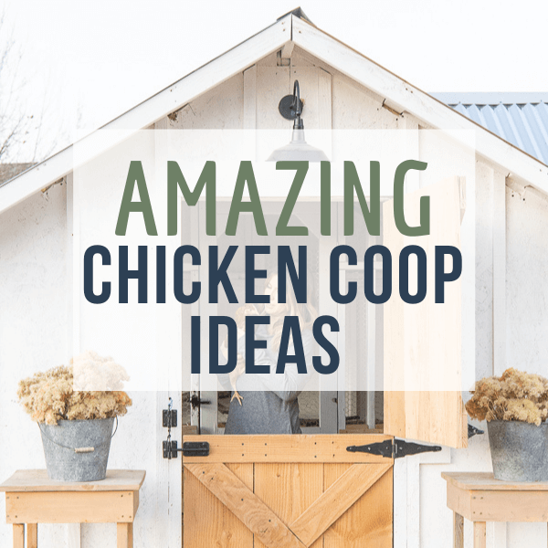 Amazingly Gorgeous and Stylish Chicken Coop Ideas
