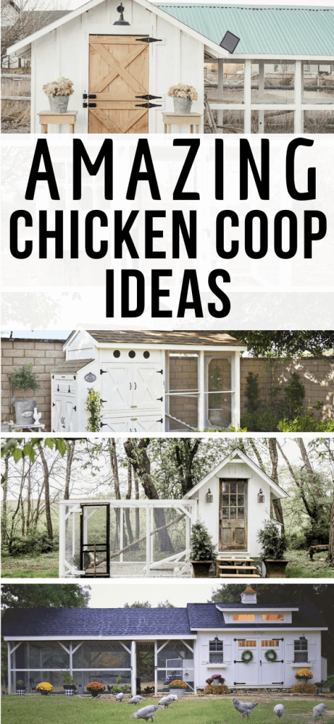 Do you want backyard chickens and farm fresh eggs of your own? Check out these amazing chicken coop ideas and create something functional and stylish too! These are some gorgeous and affordable chicken coops!