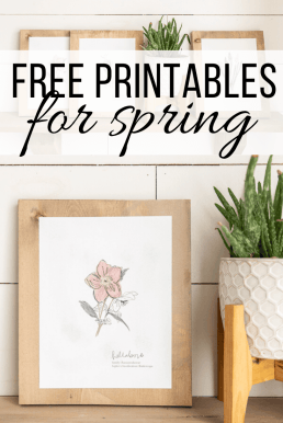Free Botanical Illustration Printables for Spring! - Twelve On Main