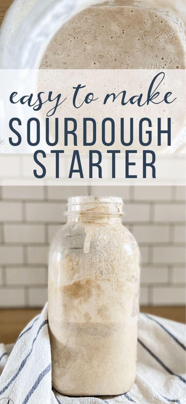 Everything You Need to Know About Sourdough Starter