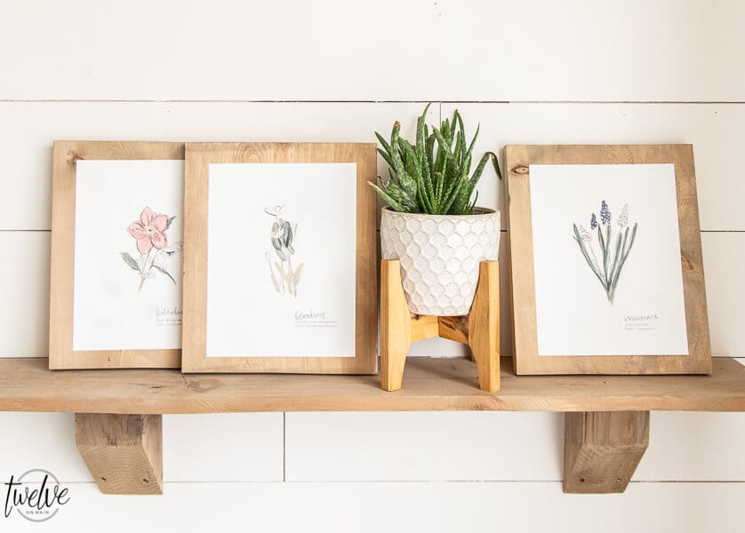 These adorable botanical illustration printables can be yours for FREE! Click here to get access to my printable library and get these in minutes!!